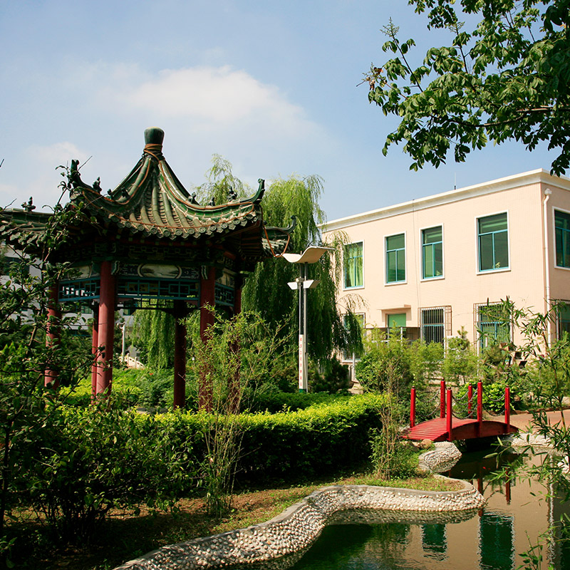 祝福海盟生日快乐！